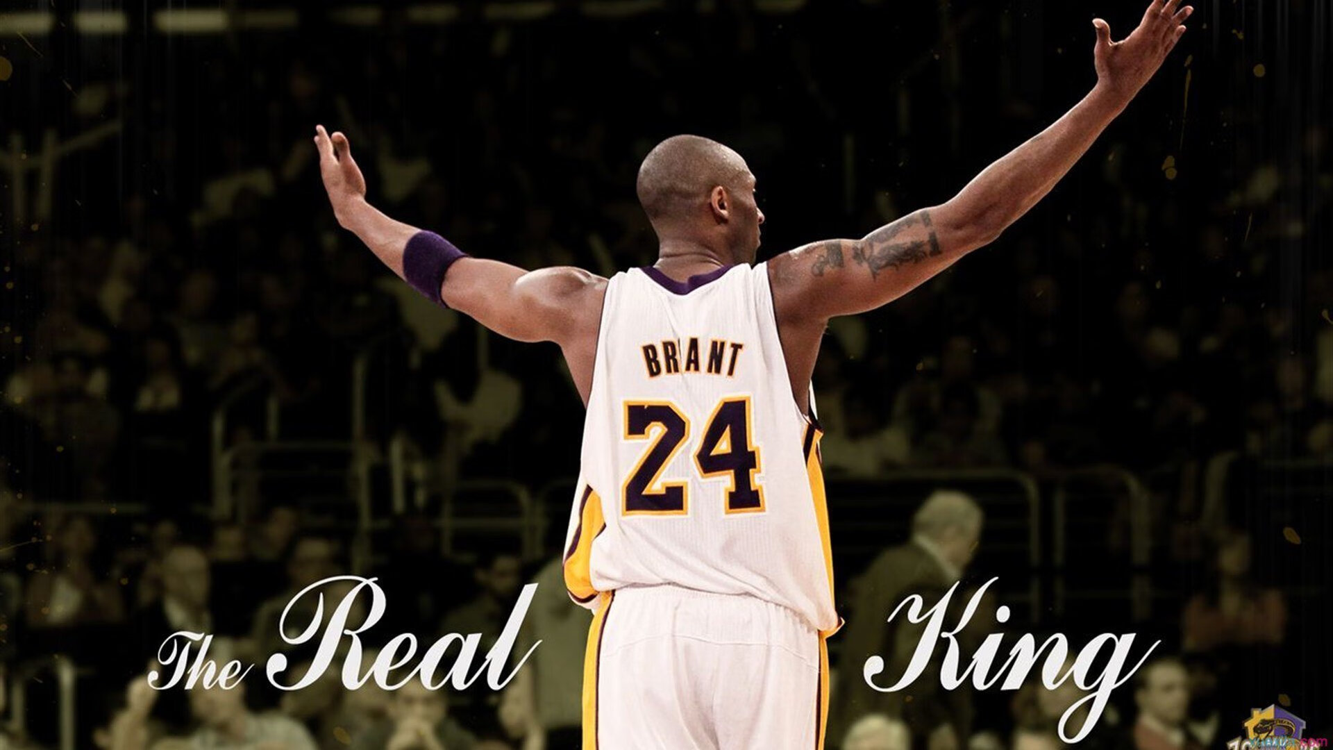 勇士队追逐历史纪录，迎战东部强敌，勇士队记录片