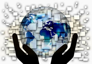 九游娱乐登录-中超球队年度控场人数分布与效果评估，中超球队人数限制