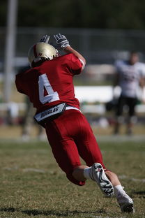 九游娱乐app-中超球队年度替补球员战术执行效率统计，中超替补年薪